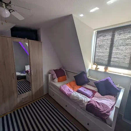 View - Wifi - Netflix - Airport Shuttle Homestay Dresden