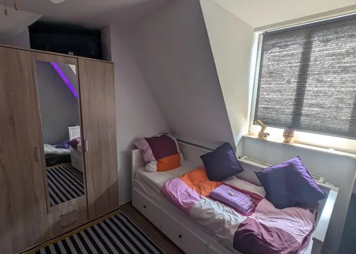 View - Wifi - Netflix - Airport Shuttle منزل للإقامة دريسدن