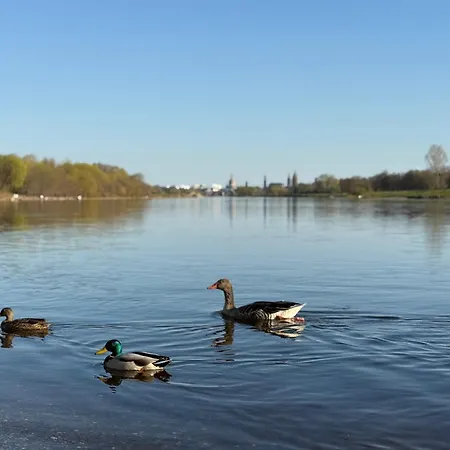 Habitación en casa particular View - Wifi - Netflix - Airport Shuttle Dresde