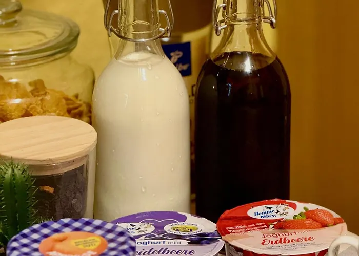 View - Wifi - Netflix - Airport Shuttle