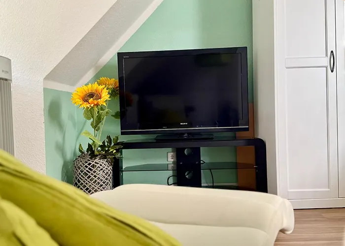 View - Wifi - Netflix - Airport Shuttle 홈스테이 *