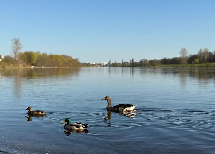 홈스테이 View - Wifi - Netflix - Airport Shuttle 드레스덴