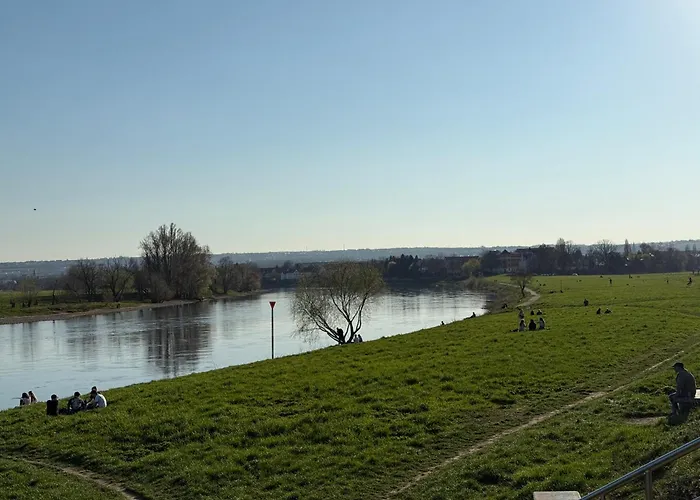 View - Wifi - Netflix - Airport Shuttle Проживание в семье *
